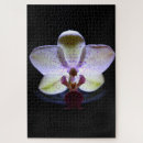 Search for orchid puzzles Botanical