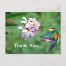 Recherche de bird thank you cards Floral