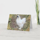 Search for silkies cards Funny
