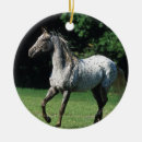 Search for appaloosa horse ornaments Running