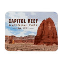 Search for loop magnets Desert