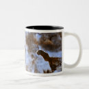Search for evolution drinkware Clouds