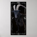 Recherche de sorcieres posters Chèvre