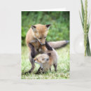 Search for kit cards Animals in the wild