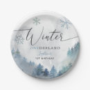 Search for mountain paper plates 1st birthday
