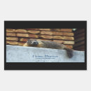Recherche de siffleur autocollants Marmotte