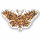 Recherche de moth stickers Bogue