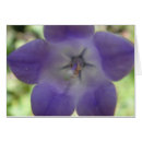 Recherche de blau Bleu