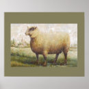 Recherche de primitive posters Nature