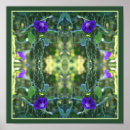 Search for glories posters Flower
