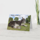 Search for donkey birthday cards Animal lover