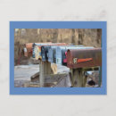 Search for mailbox postcards Photography