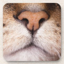 Recherche de bouche dessous de verres Un animal