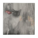 Search for black and white photo tiles Unique