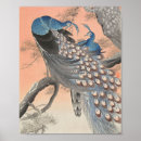 Search for japanese peacock art Animal