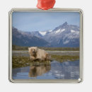 Search for brown bear ornaments Snow