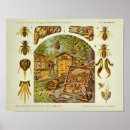 Search for honey bee art Bees