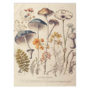 Search for mushroom tablecloths Forest