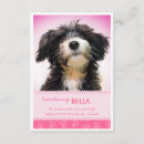 Recherche de empreinte de patte de chat invitations Chien