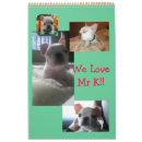 Search for k 12 Cute