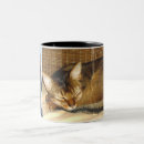 Search for abyssinian mugs Kitten