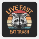 Search for raccoon stickers Cool