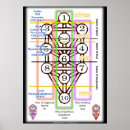 Search for life size posters Tree of life