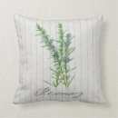 Recherche de herbes coussins Romarin