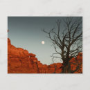 Search for tree red postcards Branches