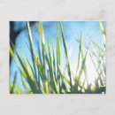 Search for blading postcards Grass