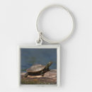Search for turtle shell keychains Wildlife