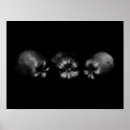 Search for apples posters Funny