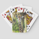 Search for giraffe playing cards Wild animal