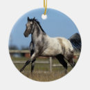 Search for appaloosa horse ornaments Equestrian