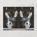 Recherche de miroir cartes postales Pour tous