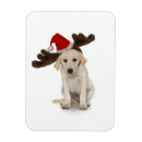 Search for cutout christmas cards Animal