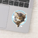 Search for cat nap stickers Funny