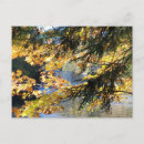 Search for tahquamenon falls postcards Nature