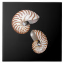 Recherche de nautilus carreaux Mer