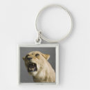 Search for aggression keychains Vertical