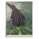 Search for engraved notebooks Botanical