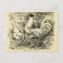 Recherche de leghorn cartes postales Vintage
