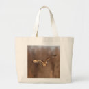 Search for owl ears accessories Nature