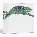 Search for chameleon binders Animal