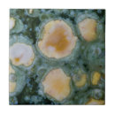 Search for spotted tiles Circle