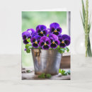 Search for pansies birthday cards Purple