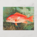 Recherche de dessin poisson rouge posters Vintage