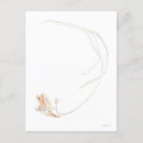 Search for dried postcards Botanical