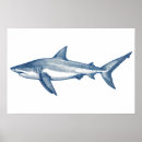 Recherche de requin vintage art Antique