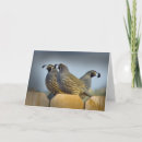 Recherche de cailles vœux cartes Animaux